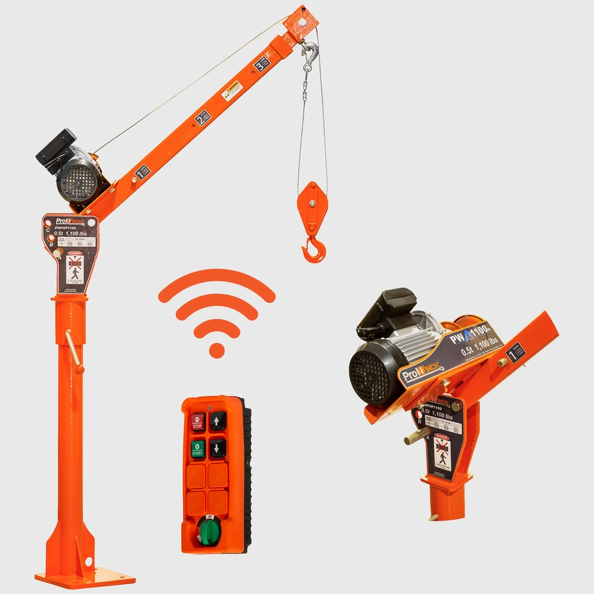 1000 lbs Davit Crane 360 Swivel with Wireless Electric Winch 220V